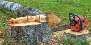 Best Hazardous Tree Removal  in Rothschild, WI